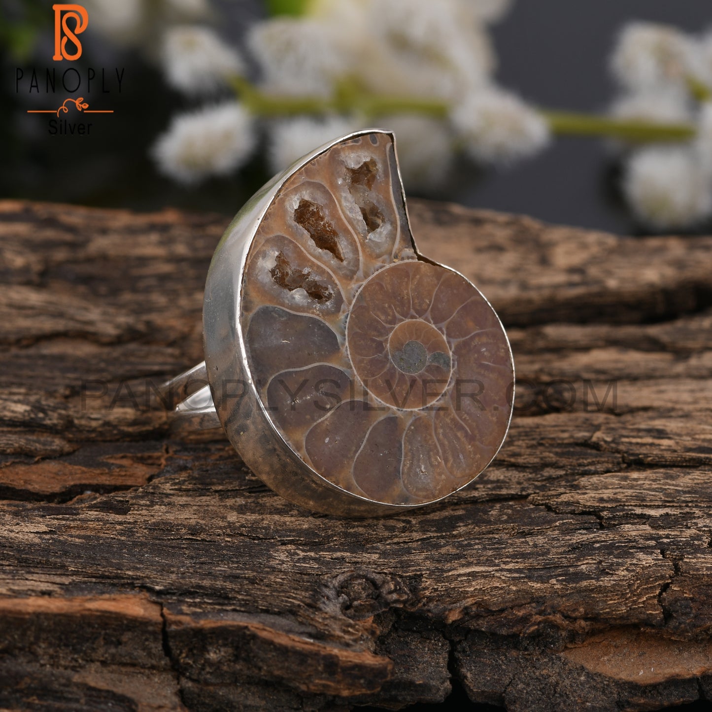 Ammonite 925 Sterling Silver Ring