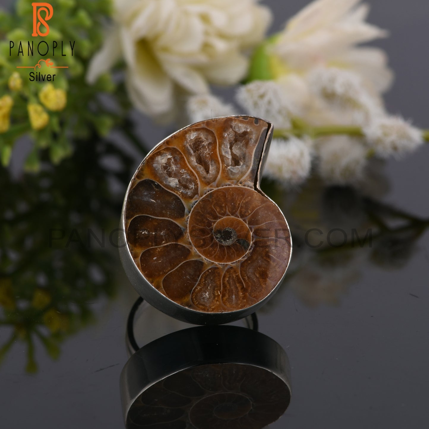 Ammonite 925 Sterling Silver Ring