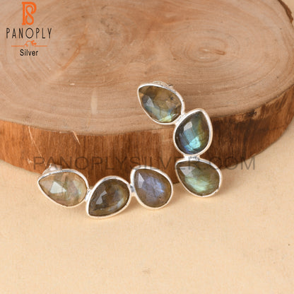 Briolette Cut Labradorite Gem 925 Silver Drop Earrings
