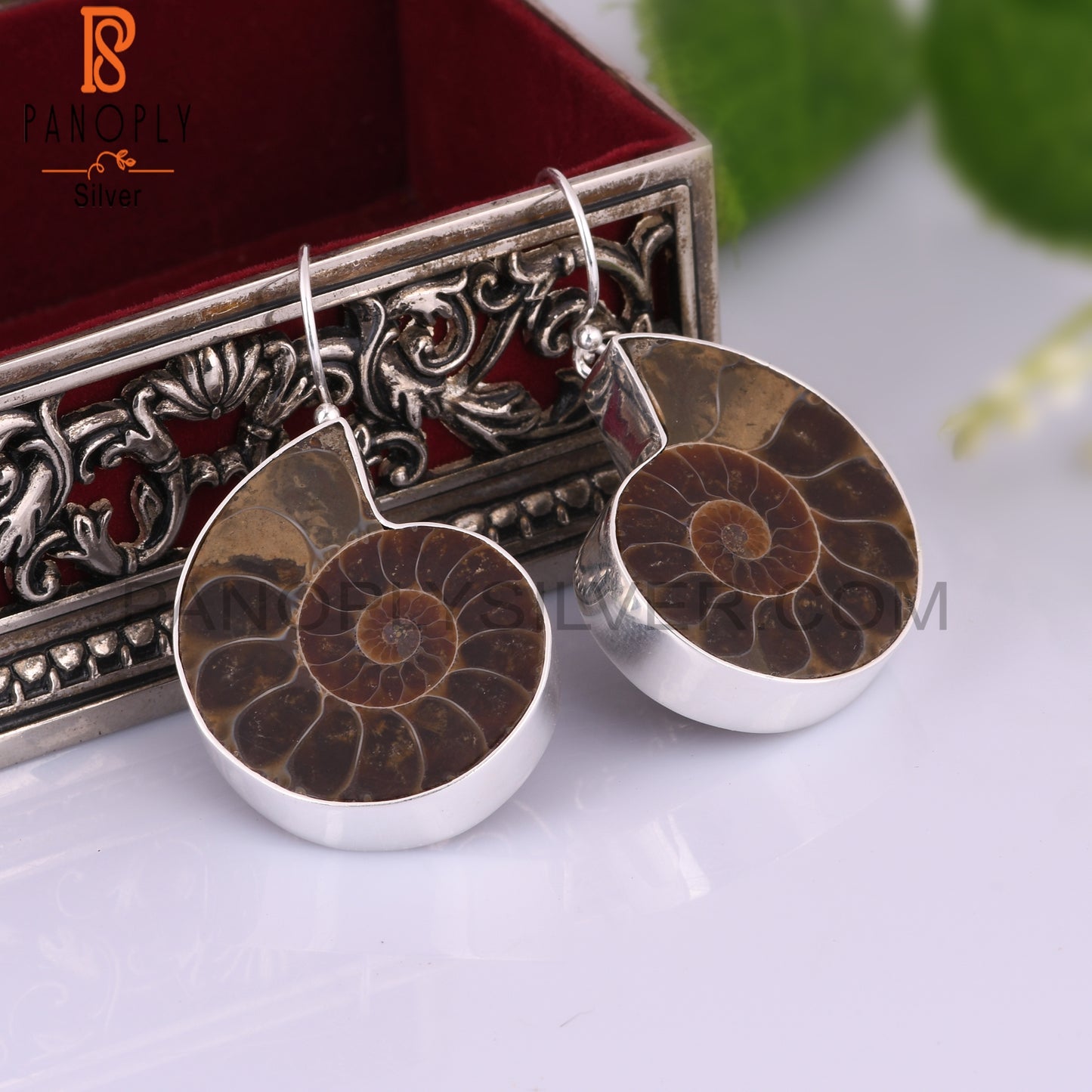 Ammonite 925 Sterling Silver Earrings
