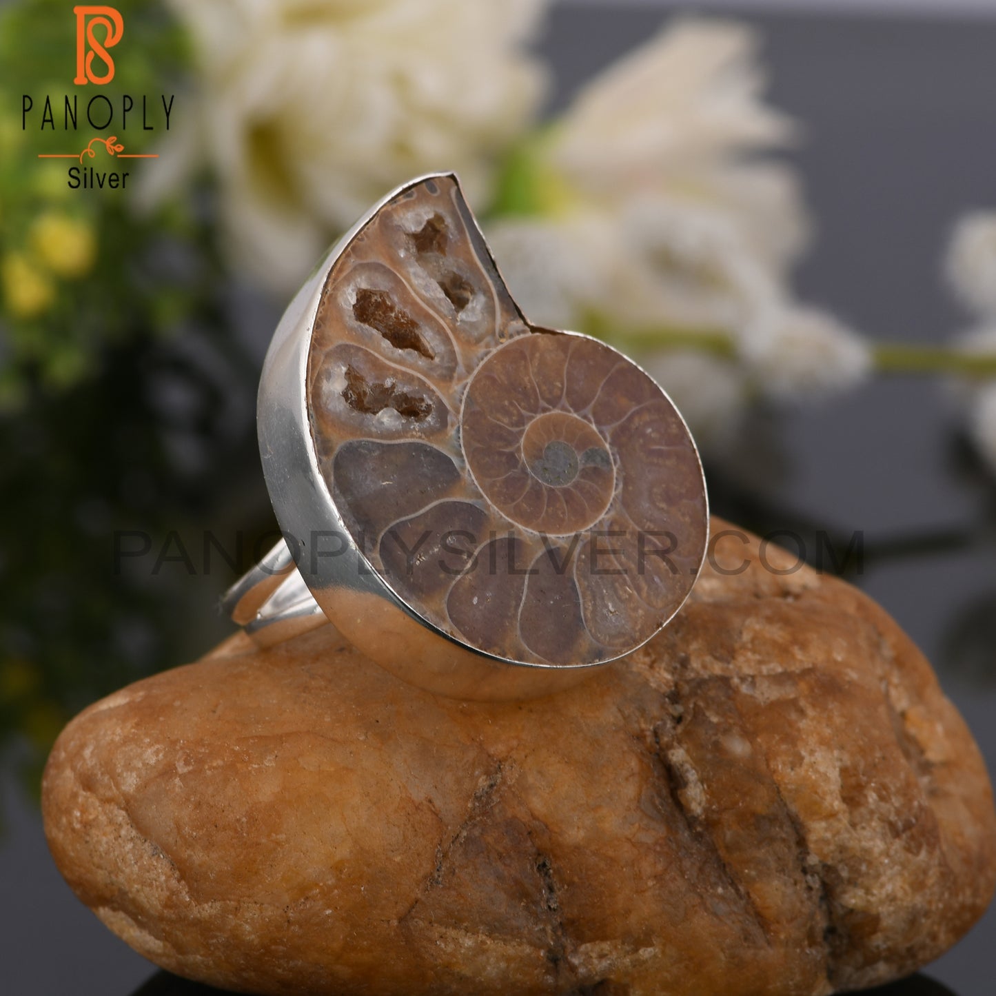 Ammonite 925 Sterling Silver Ring